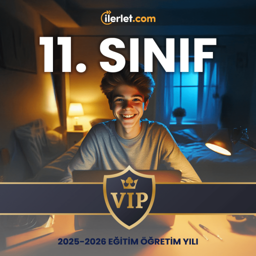 11sınıf sayısal