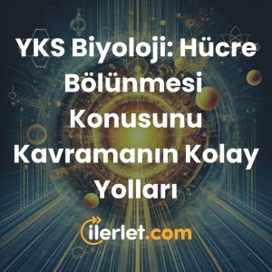 YKS Biyoloji: Hücre Bölünmesi Konusunu Kavramanın Kolay Yolları YKS Biyoloji: Hücre Bölünmesi Konusunu Kavramanın Kolay Yolları